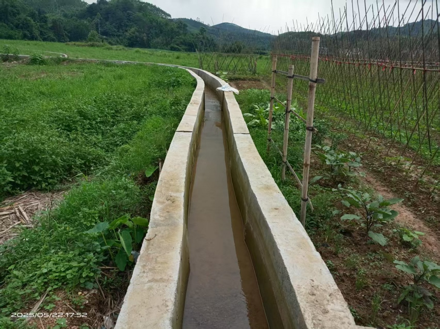 【鄉村振興·寨沙鎮】人大代表關注 新修水利解村民灌溉之憂1.png