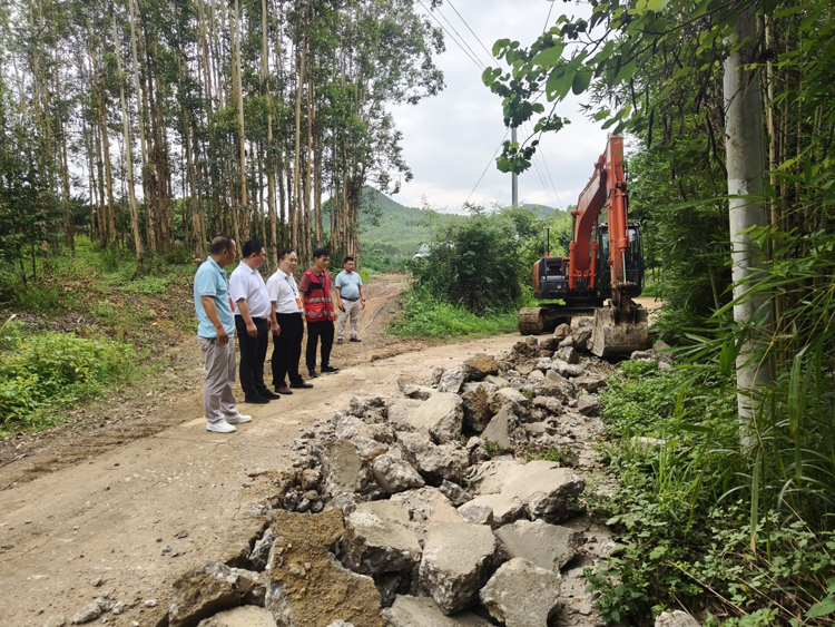 【防汛季·鹿寨鎮】人大代表迅速行動 塌方道路修復快2.png